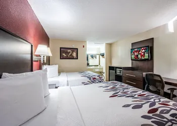 Red Roof Inn Orlando South - Florida Mall hotel thumbnail 5