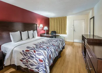 Red Roof Inn Orlando South - Florida Mall hotel thumbnail 6