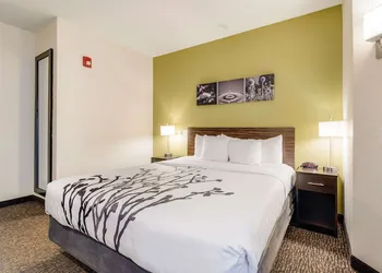 Sleep Inn Flagstaff hotel thumbnail 8