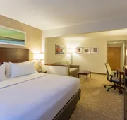 Holiday Inn Baltimore BWI Airport by IHG hotel detail image 5