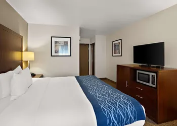 Comfort Inn Lacey - Olympia hotel thumbnail 3