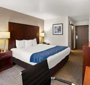 Comfort Inn Lacey - Olympia hotel detail image 4