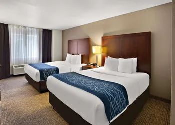 Comfort Inn Lacey - Olympia hotel thumbnail 6