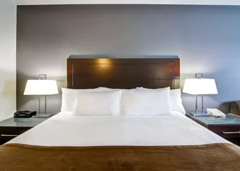 Best Western Plus Brandon Inn hotel thumbnail 7