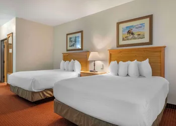 Best Western Devils Tower Inn hotel thumbnail 8