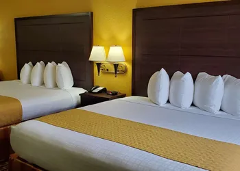 Best Western Executive Inn & Suites hotel thumbnail 4