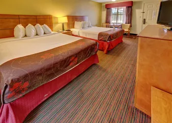 Best Western Inn hotel thumbnail 5