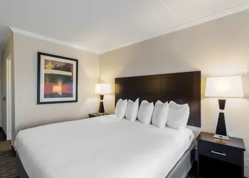 Best Western St. Louis-Kirkwood Route 66 hotel thumbnail 5