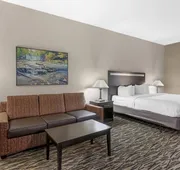 Best Western Plus McDonough Inn & Suites hotel detail image 7
