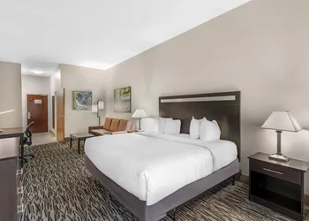 Best Western Plus McDonough Inn & Suites hotel thumbnail 8