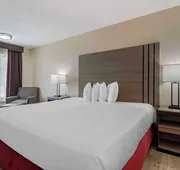 Best Western Of Alexandria Inn & Suites & Conference Center hotel detail image 7