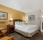 Best Western Pioneer hotel detail image 4
