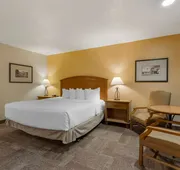Best Western Pioneer hotel detail image 7