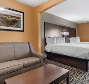 Best Western Plus Denton Inn & Suites hotel detail image 7