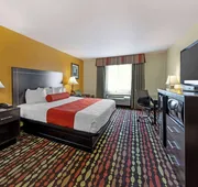Best Western Greentree Inn & Suites hotel detail image 5