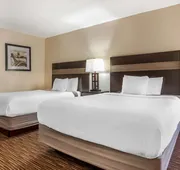 Best Western Oak Manor hotel detail image 4
