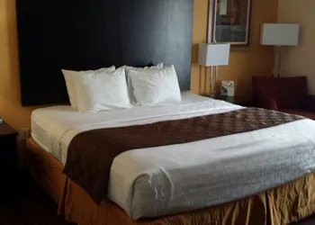 Paradise Inn & Suites hotel thumbnail 5