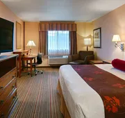 Best Western Plus Rama Inn & Suites hotel detail image 7