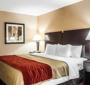 Quality Inn Dunkirk hotel detail image 5