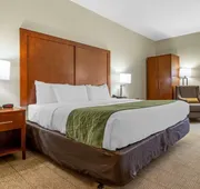 Comfort Inn & Suites Lenoir Hwy 321 Northern Foothills hotel detail image 4