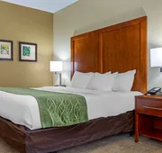 Comfort Inn & Suites Lenoir Hwy 321 Northern Foothills hotel detail image 7
