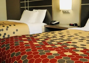 Econo Lodge Inn & Suites Murfreesboro Shopping District hotel thumbnail 7