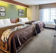 Sleep Inn & Suites Bay View Acme - Travers City hotel detail image 7