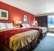 Econo Lodge Inn & Suites Conference Center hotel detail image 7