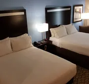 Holiday Inn Express & Suites Atascocita - Humble - Kingwood by IHG hotel detail image 3