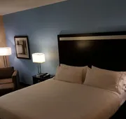 Holiday Inn Express & Suites Atascocita - Humble - Kingwood by IHG hotel detail image 5