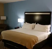 Holiday Inn Express & Suites Atascocita - Humble - Kingwood by IHG hotel detail image 7