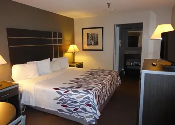 Red Roof Inn Columbia, TN hotel thumbnail 7