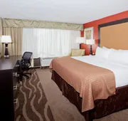 Holiday Inn Shreveport Downtown by IHG hotel detail image 5