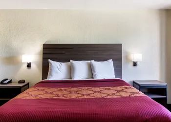 OYO Inn & Suites Medical Center San Antonio hotel thumbnail 5