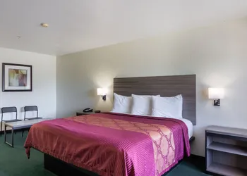 OYO Inn & Suites Medical Center San Antonio hotel thumbnail 6