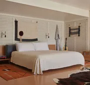 Ace Hotel & Swim Club Palm Springs hotel detail image 4