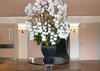 Hotel Carmel hotel thumbnail 2