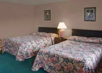 Best Inn hotel thumbnail 5