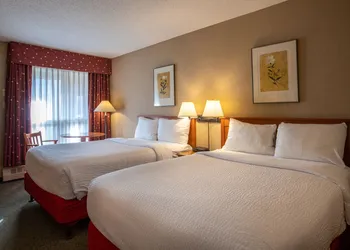 Marmot Lodge hotel thumbnail 4