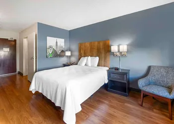 Extended Stay America Premier Suites - Fort Lauderdale - Convention Center - Cruise Port hotel thumbnail 5