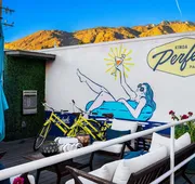 The Skylark a Palm Springs Hotel hotel detail image 4