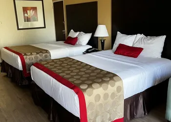 Budget Inn hotel thumbnail 6
