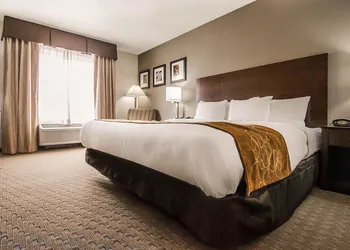 Quality Suites St. Joseph hotel thumbnail 5