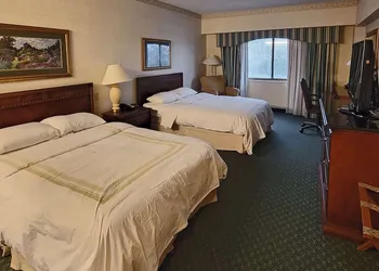 Radisson Hotel Cedar Rapids hotel thumbnail 6