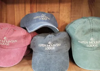 Aspen Mountain Lodge hotel thumbnail 5