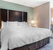 Clarion Inn & Suites Atlanta Downtown hotel detail image 3