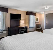 Clarion Inn & Suites Atlanta Downtown hotel detail image 7