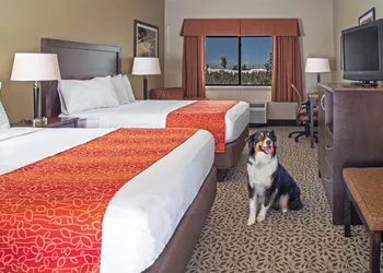 Gray Wolf Inn & Suites hotel thumbnail 8