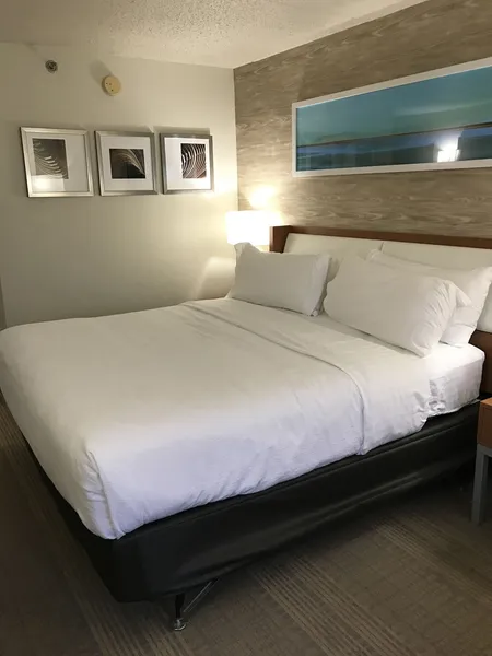 Holiday Inn & Suites Bolingbrook by IHG hotel detail image 6