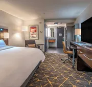 Holiday Inn New Orleans - Downtown Superdome by IHG hotel detail image 7